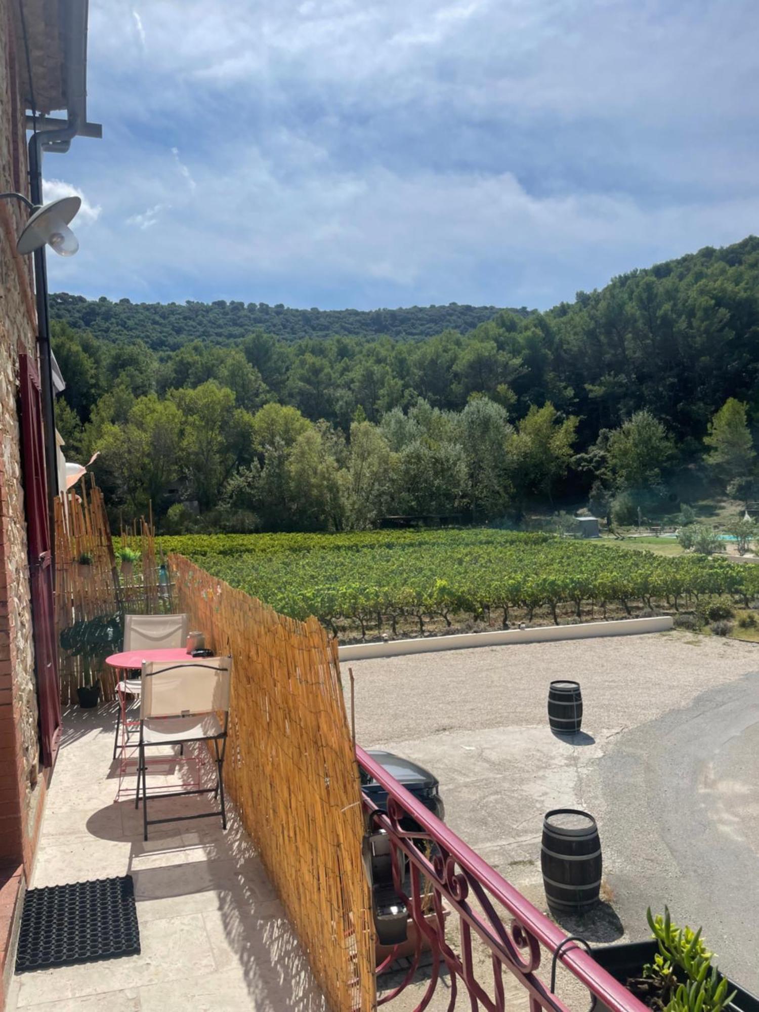 Appartement Au Calme Au Milieu Du Vignoble De Gigondas Esterno foto